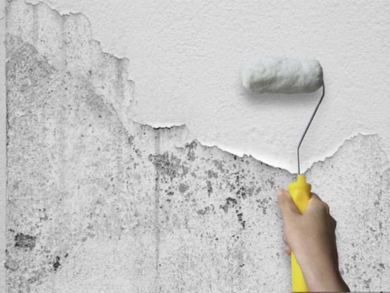 DIY塗装の落とし穴｜プロとの仕上がりの違いとは