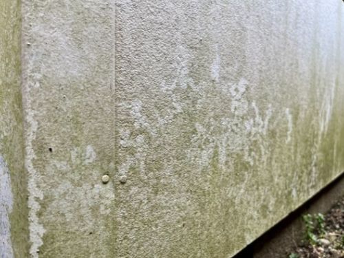 柏市で外壁にコケ・藻が目立つのはなぜ？外壁塗装前に知っておきたい原因と対策